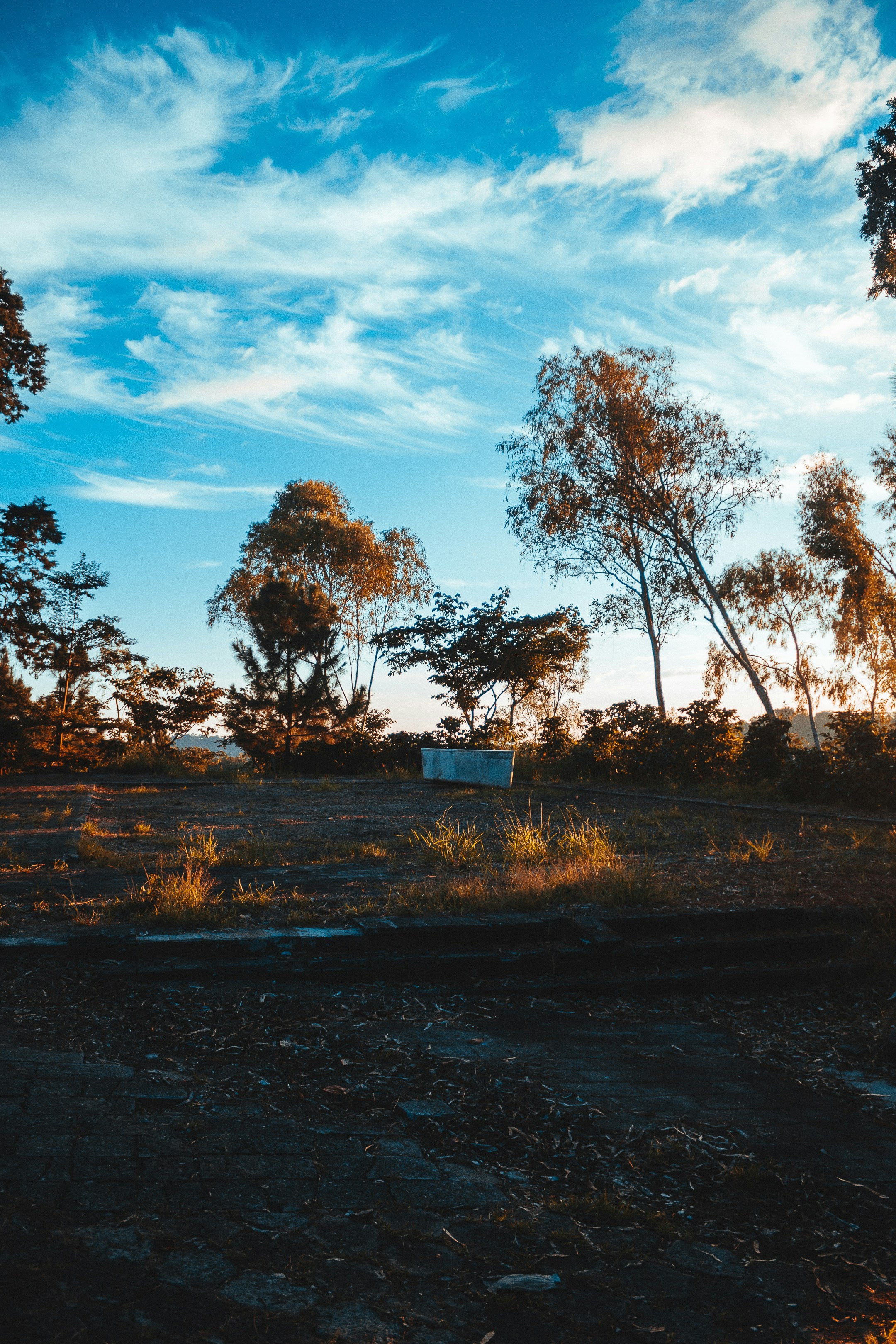 Photo by daniel_castellon20