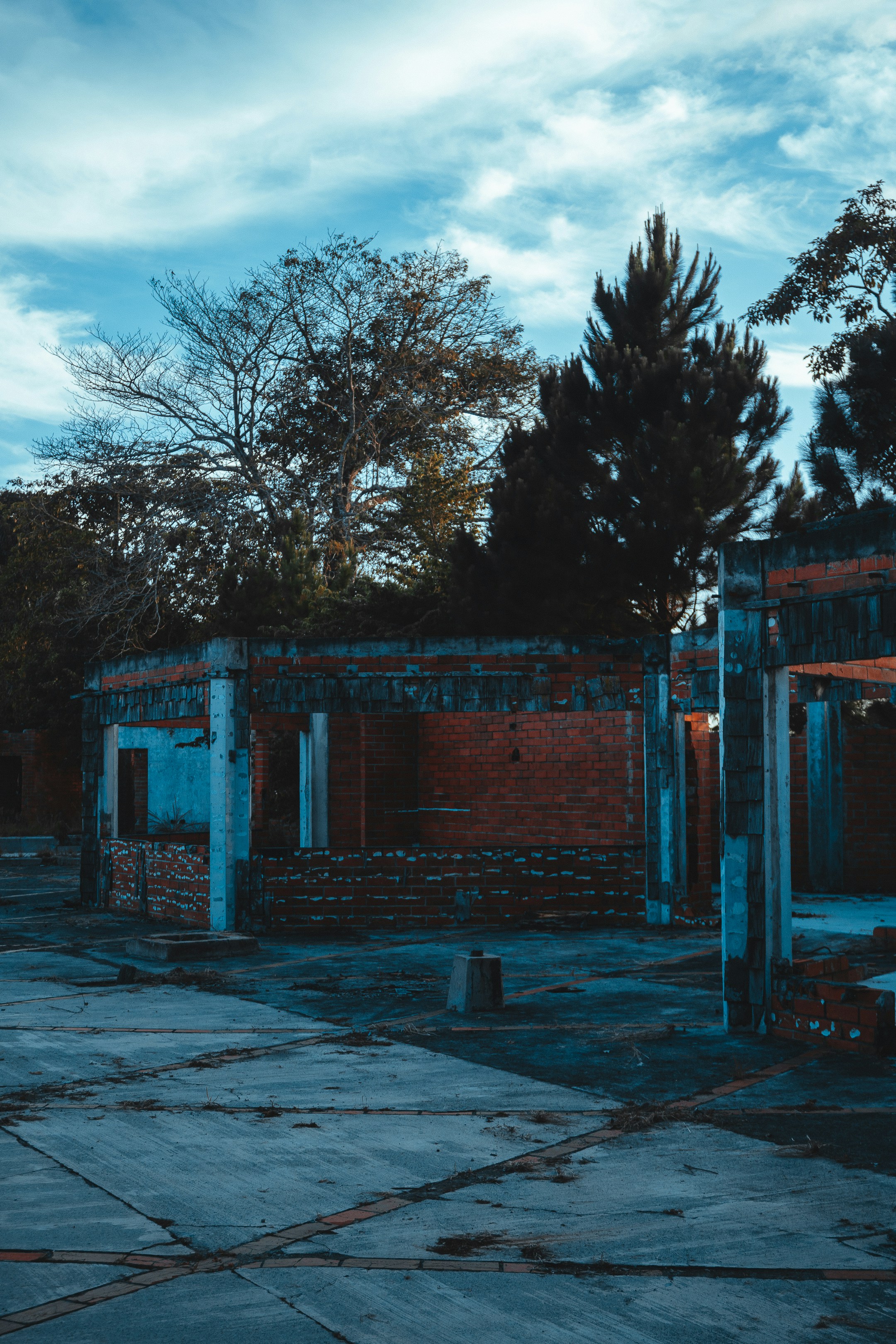 Photo by daniel_castellon20