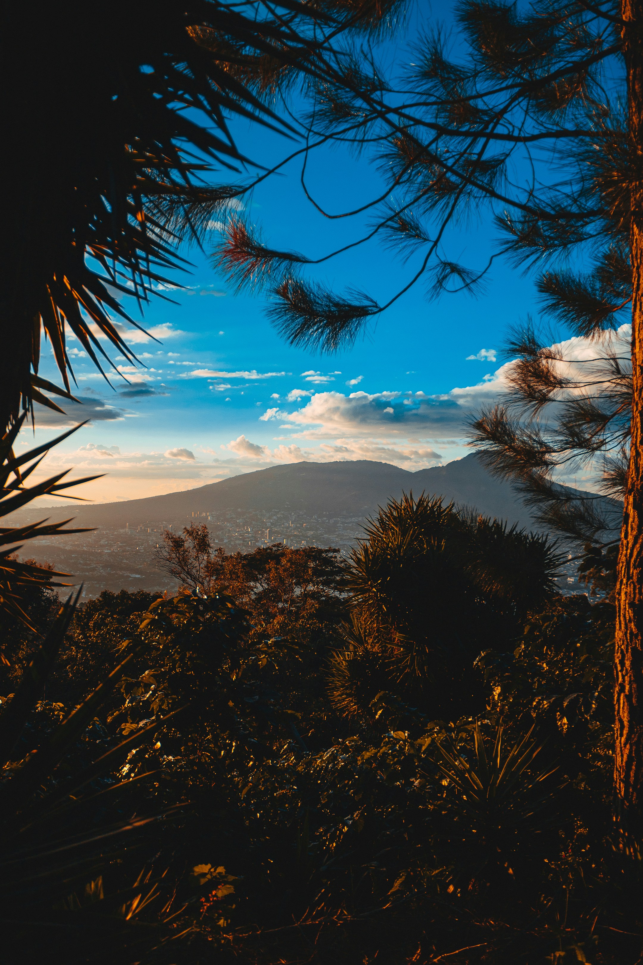 Photo by daniel_castellon20