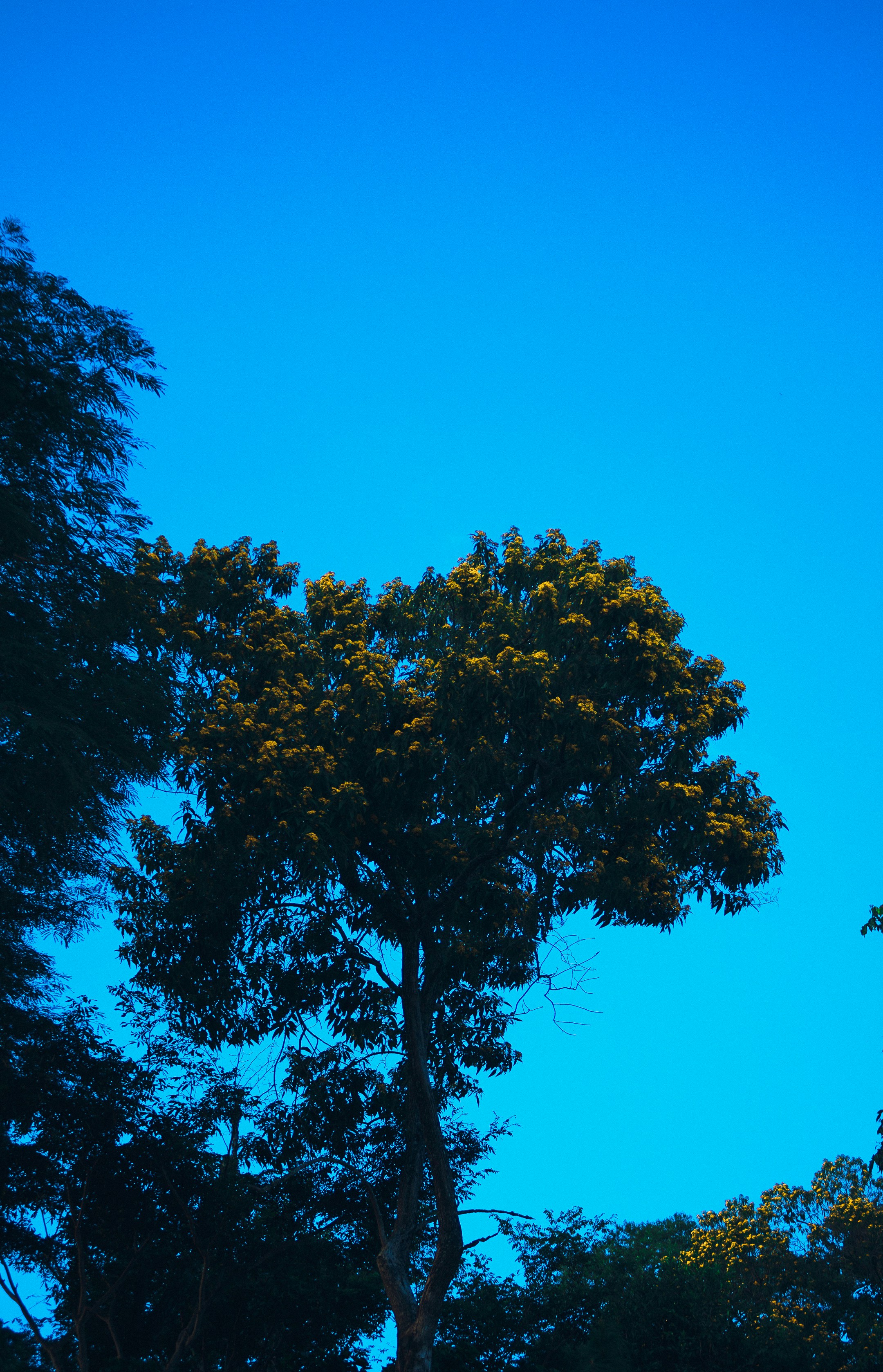 Photo by daniel_castellon20