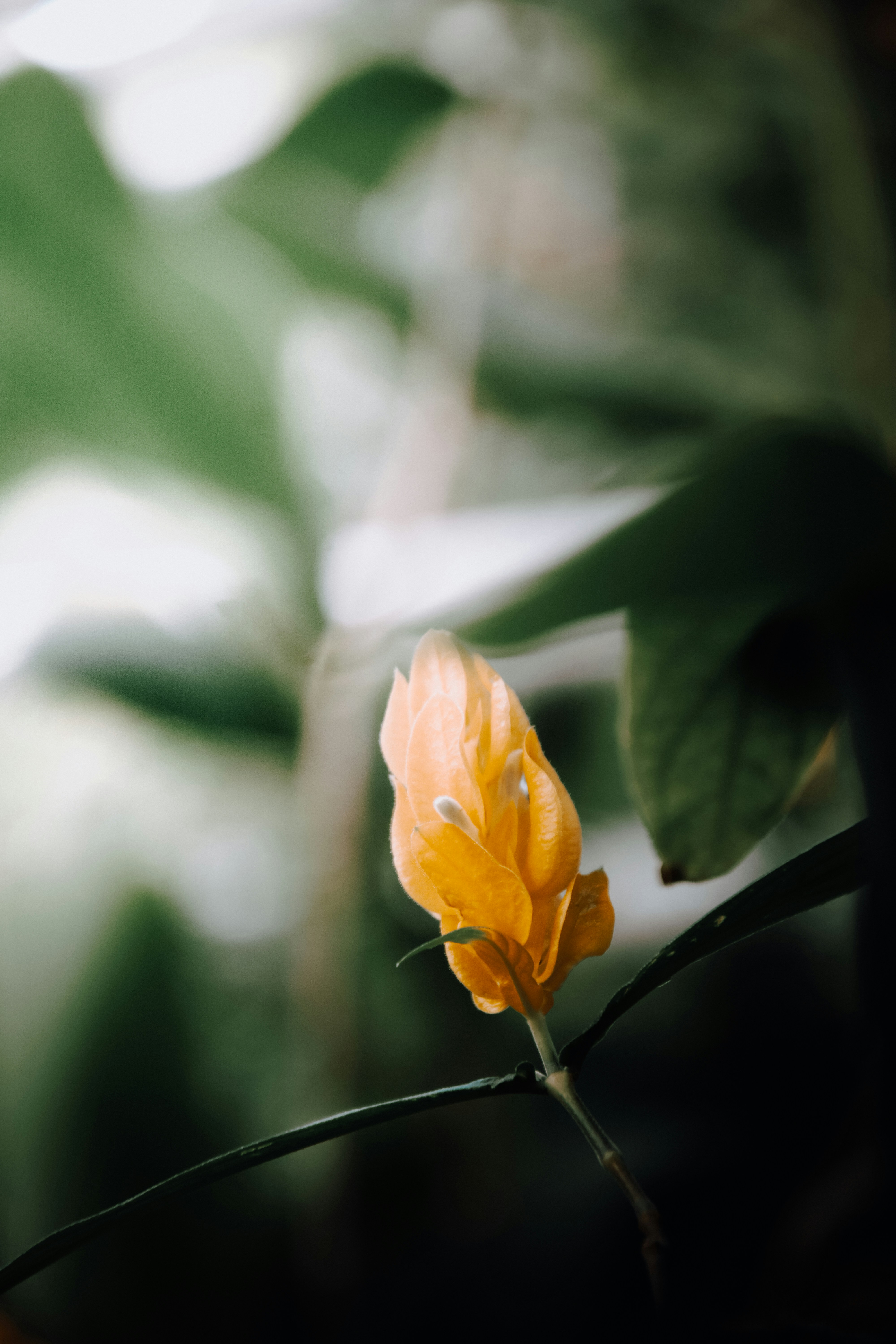 Photo by impermanent