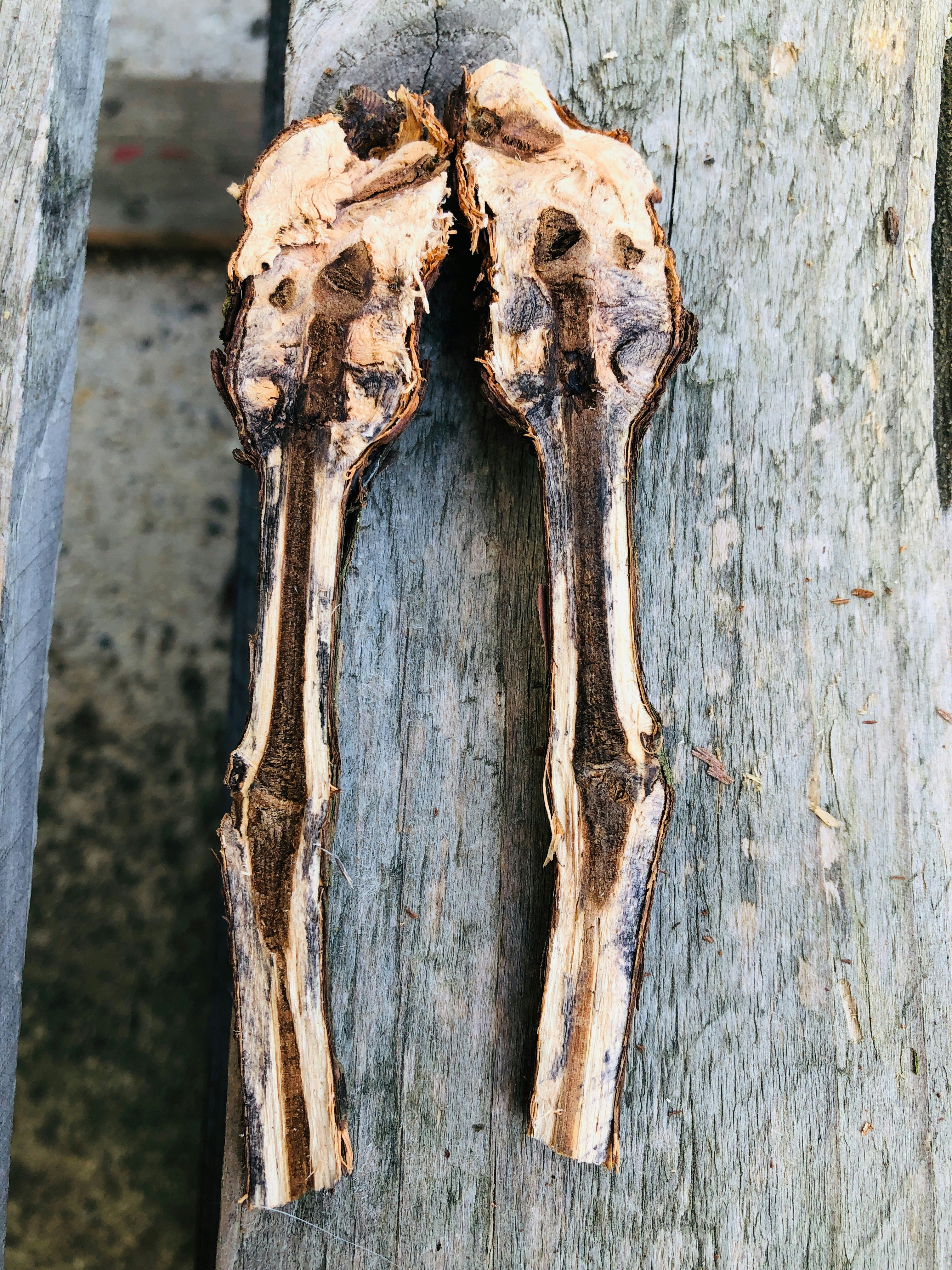 Sáp sửa chữa gỗ