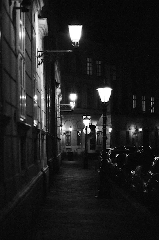 A cinematic view of a cobblestone street lined with vintage lampposts, evoking scenes from classic literary films.