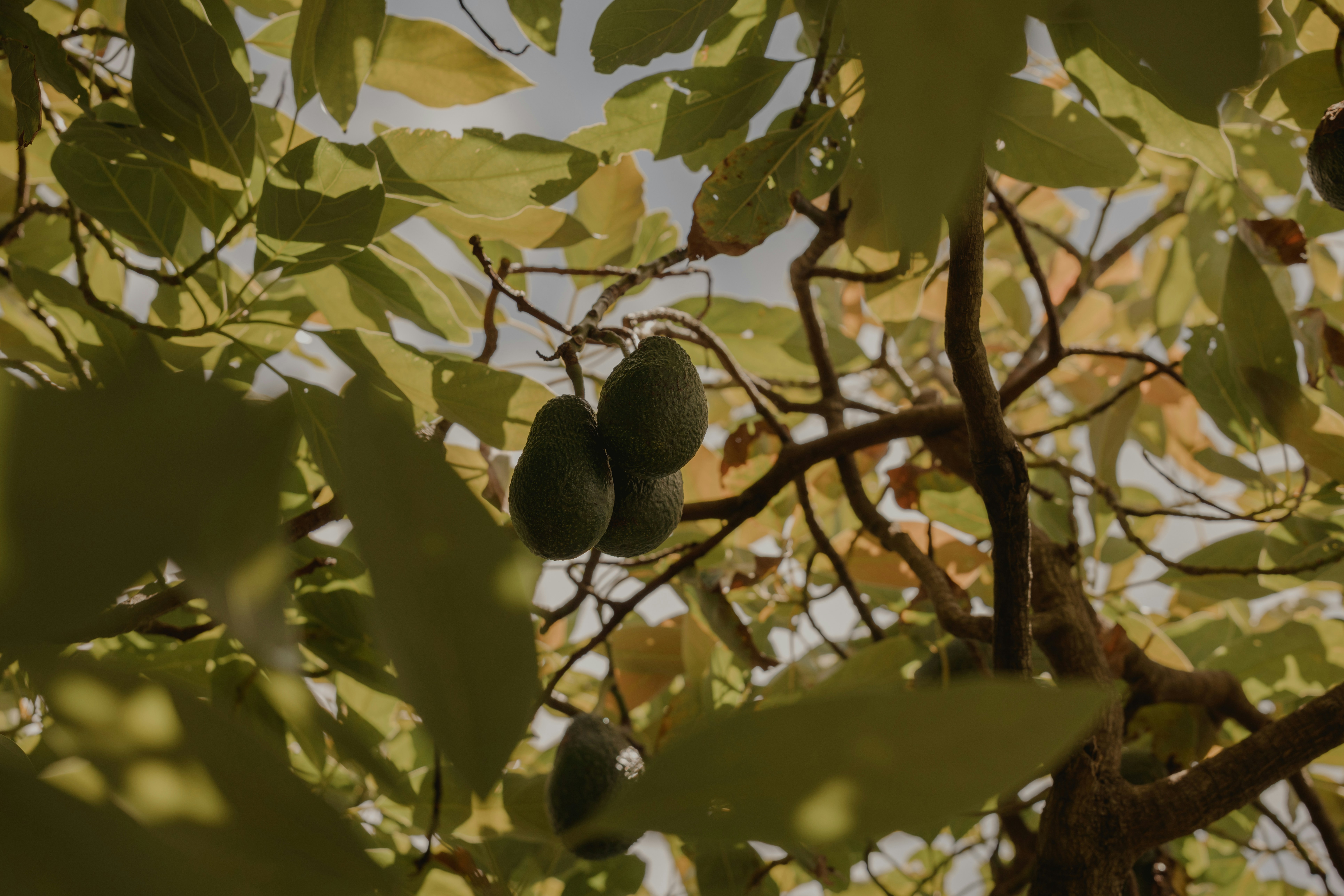 Photo by sarahjanephotography