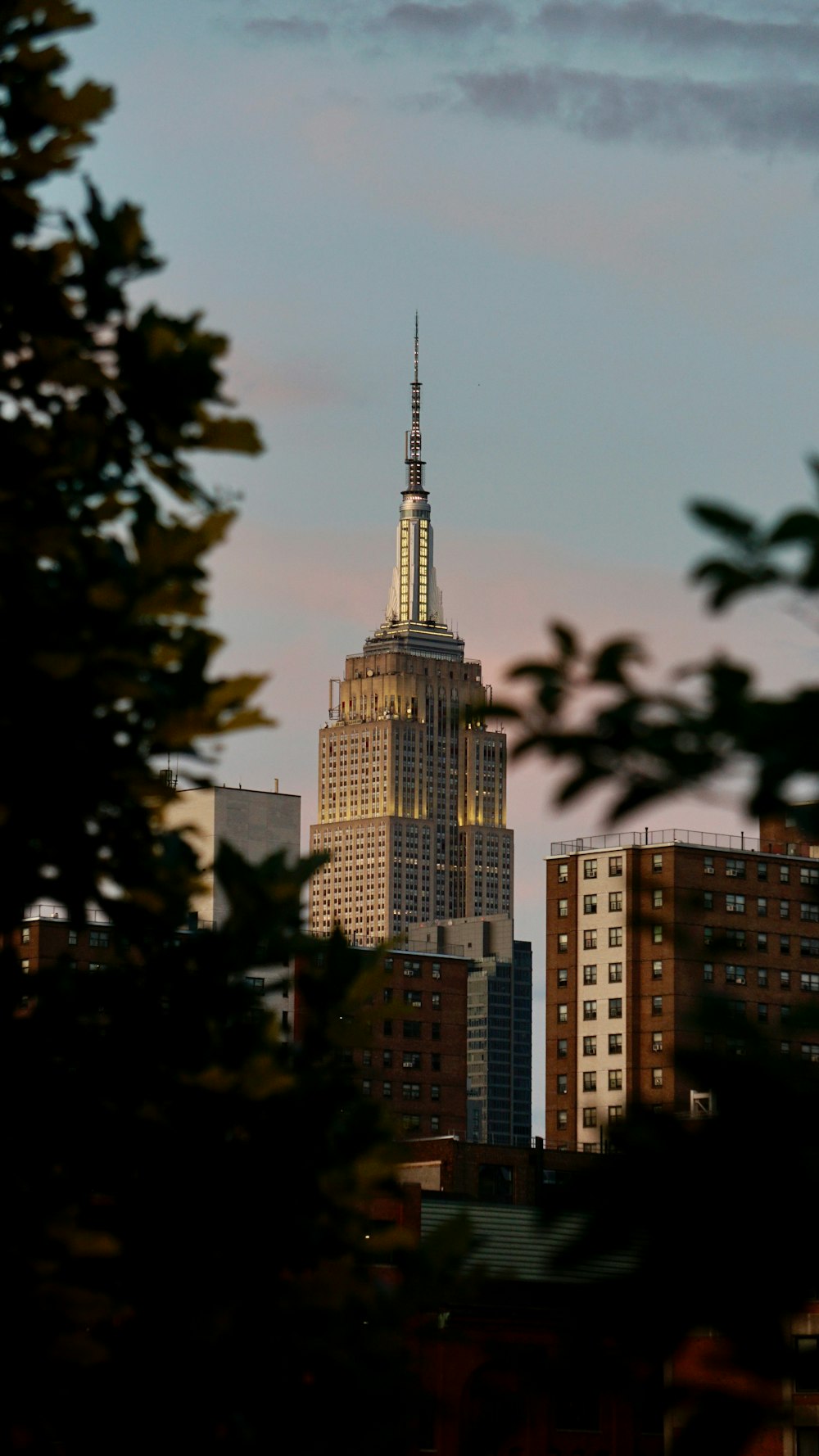 a view of the empire building from a distance