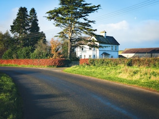 A picturesque countryside scene featuring a house surrounded by trees and bushes. A large tree stands prominently beside the house, and a curved road leads away, bordered by lush green grass. The sky is clear with a few clouds, lending a serene atmosphere.