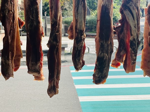 Several pieces of meat are hanging vertically in a row, suspended above a sidewalk with a striped crosswalk in the background. They appear to be drying or curing in the open air, and there is a mix of sunlight and shadow on the scene.