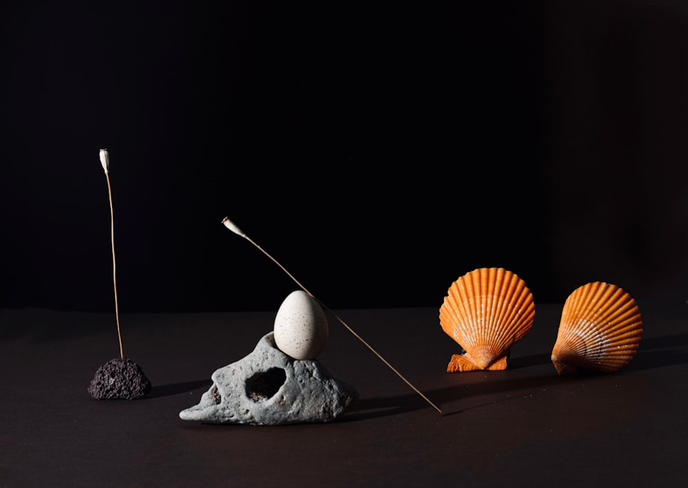 three seashells and a rock on a black background