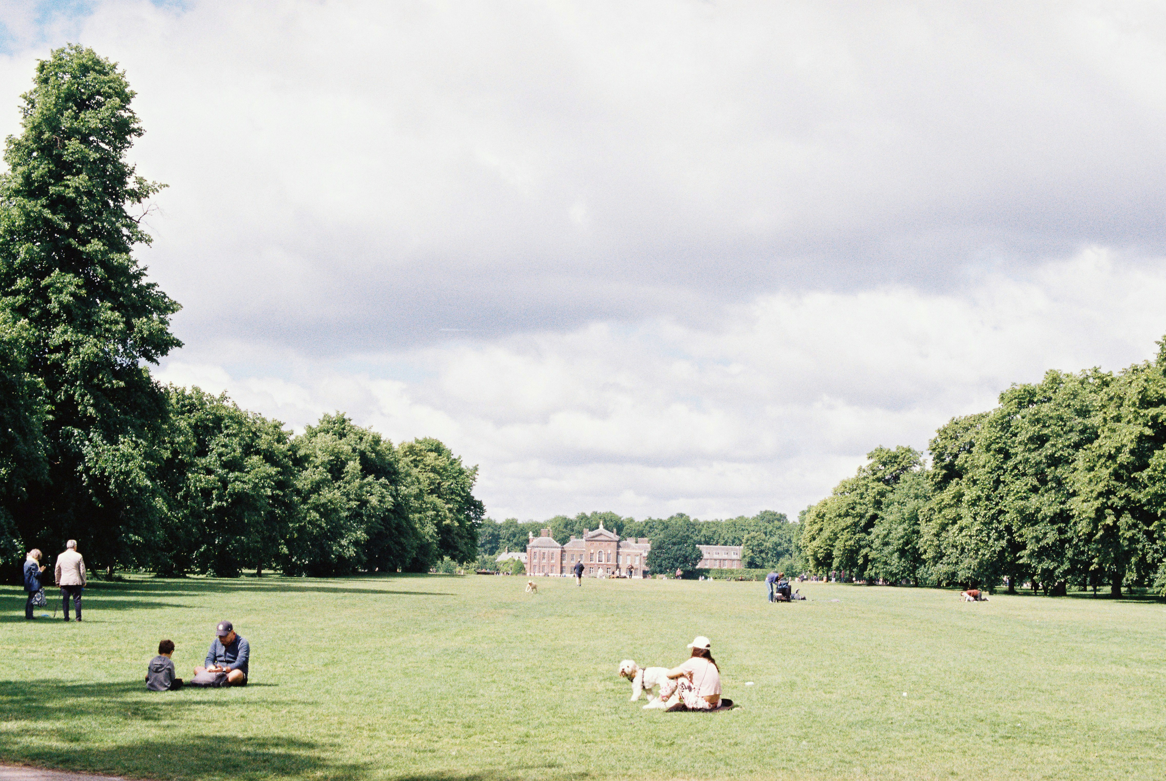 Photo by anniespratt