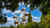 a ferris wheel in the middle of a park