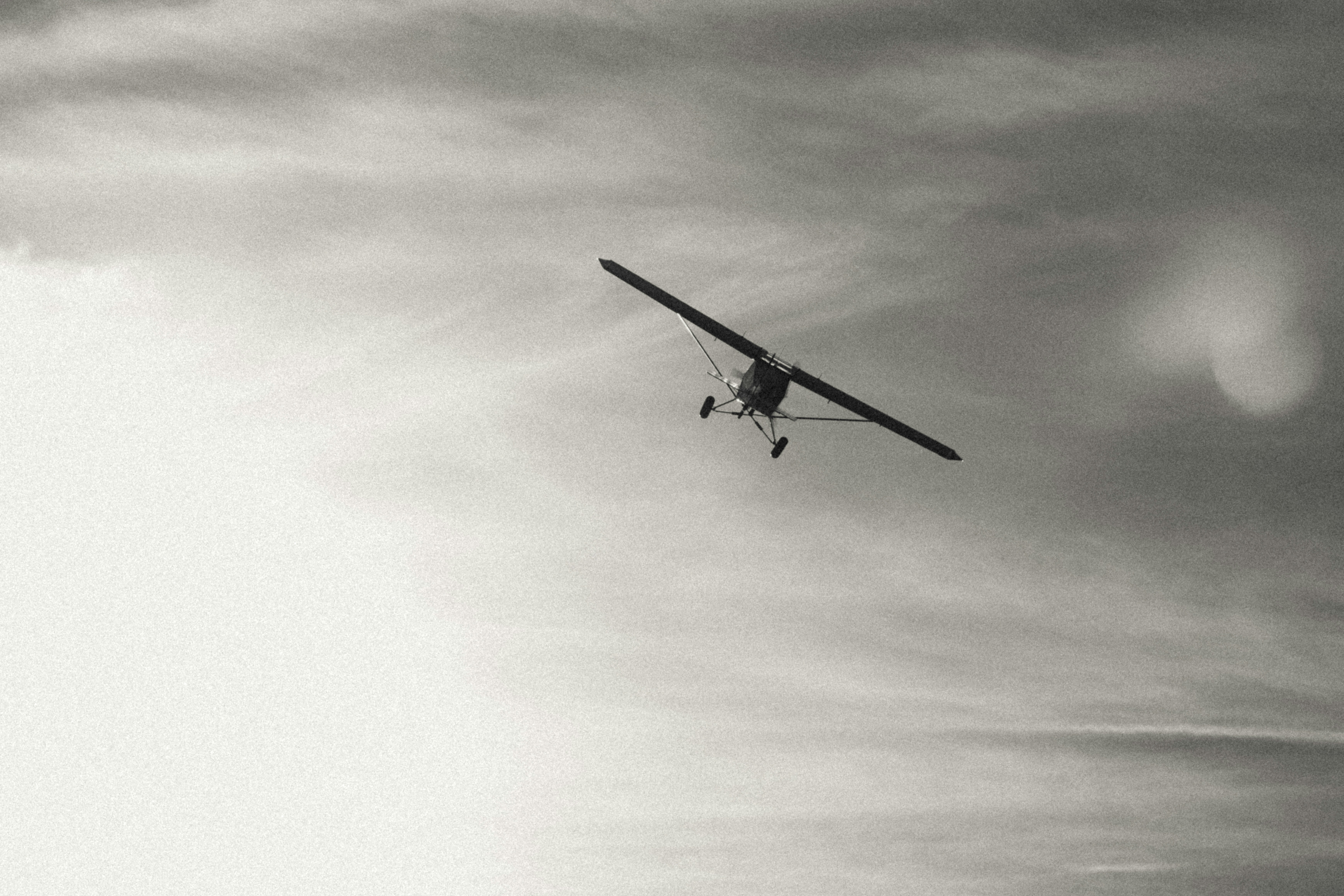 Photo by ledainelliott