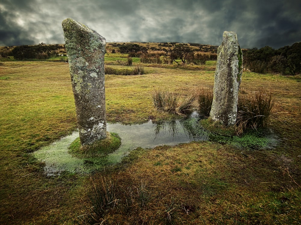 a grassy field with two large rocks in the middle of it