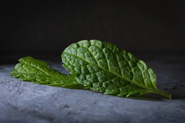 Fresh green mint leaves arranged artistically on a wooden surface with soft natural lighting