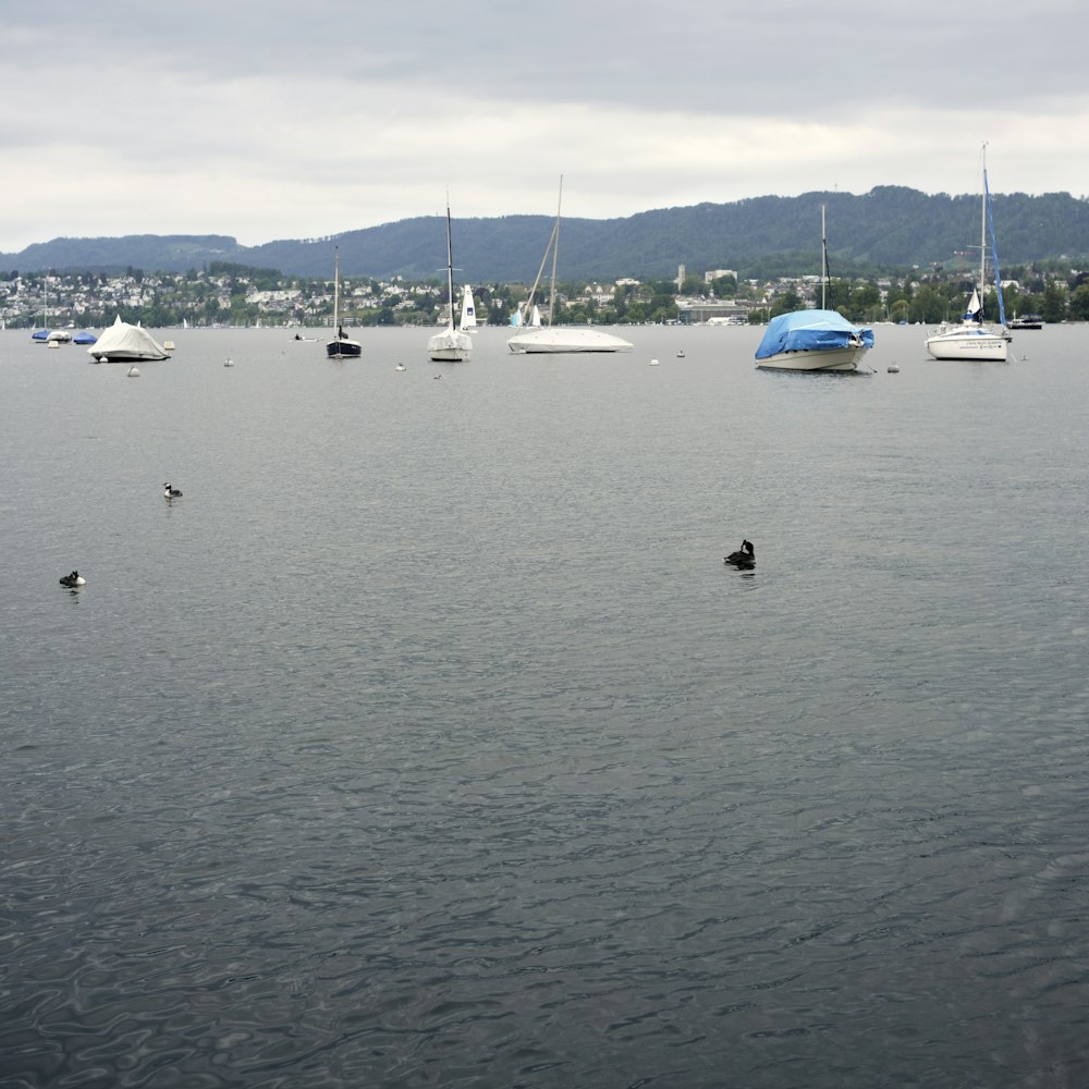 un gruppo di barche che galleggiano in cima a un lago