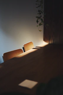 Soft sunlight filtering through leaves onto a set of natural wellness items arranged on a wooden table.