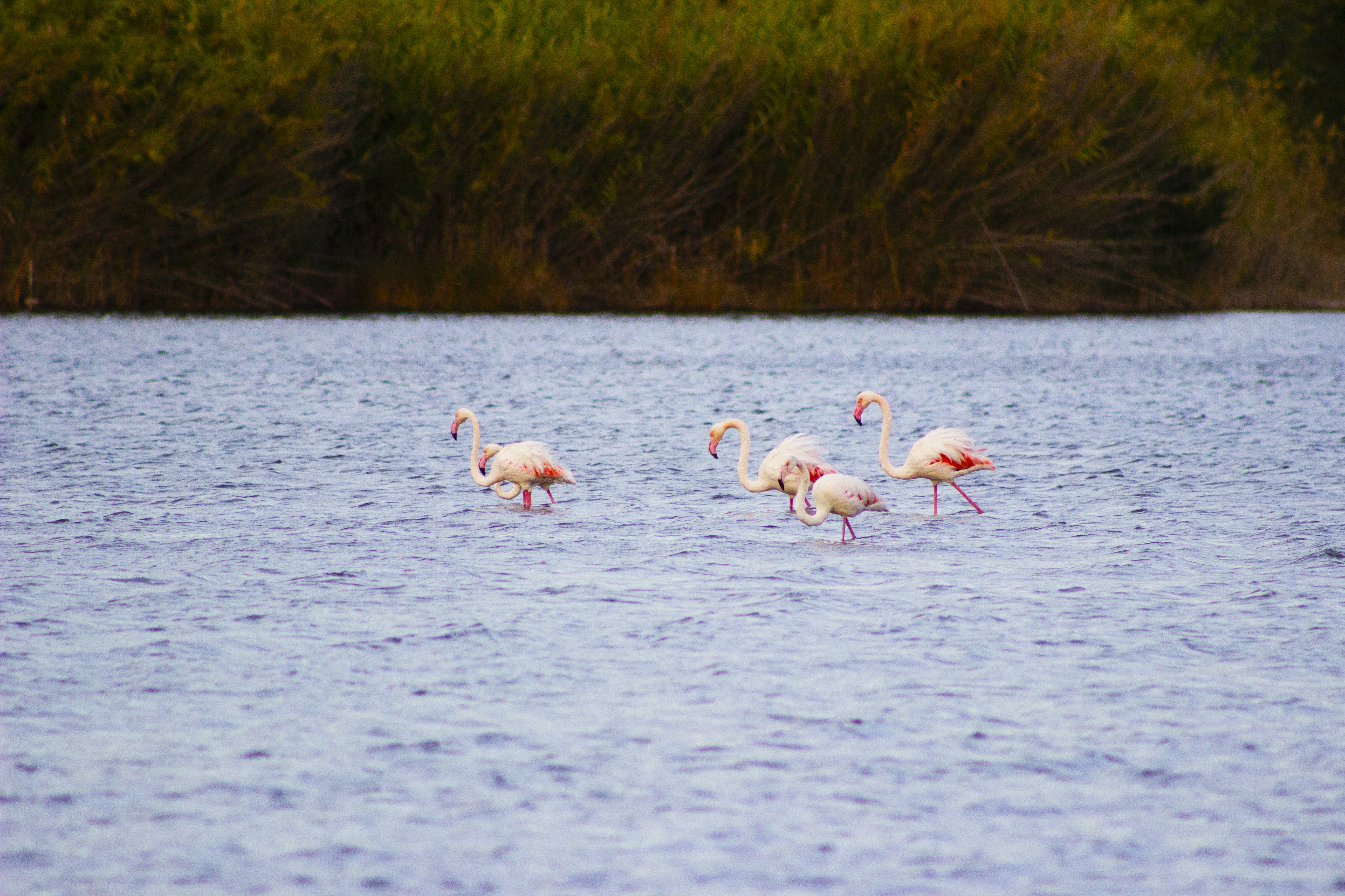 Photo by happy_sad_repeat