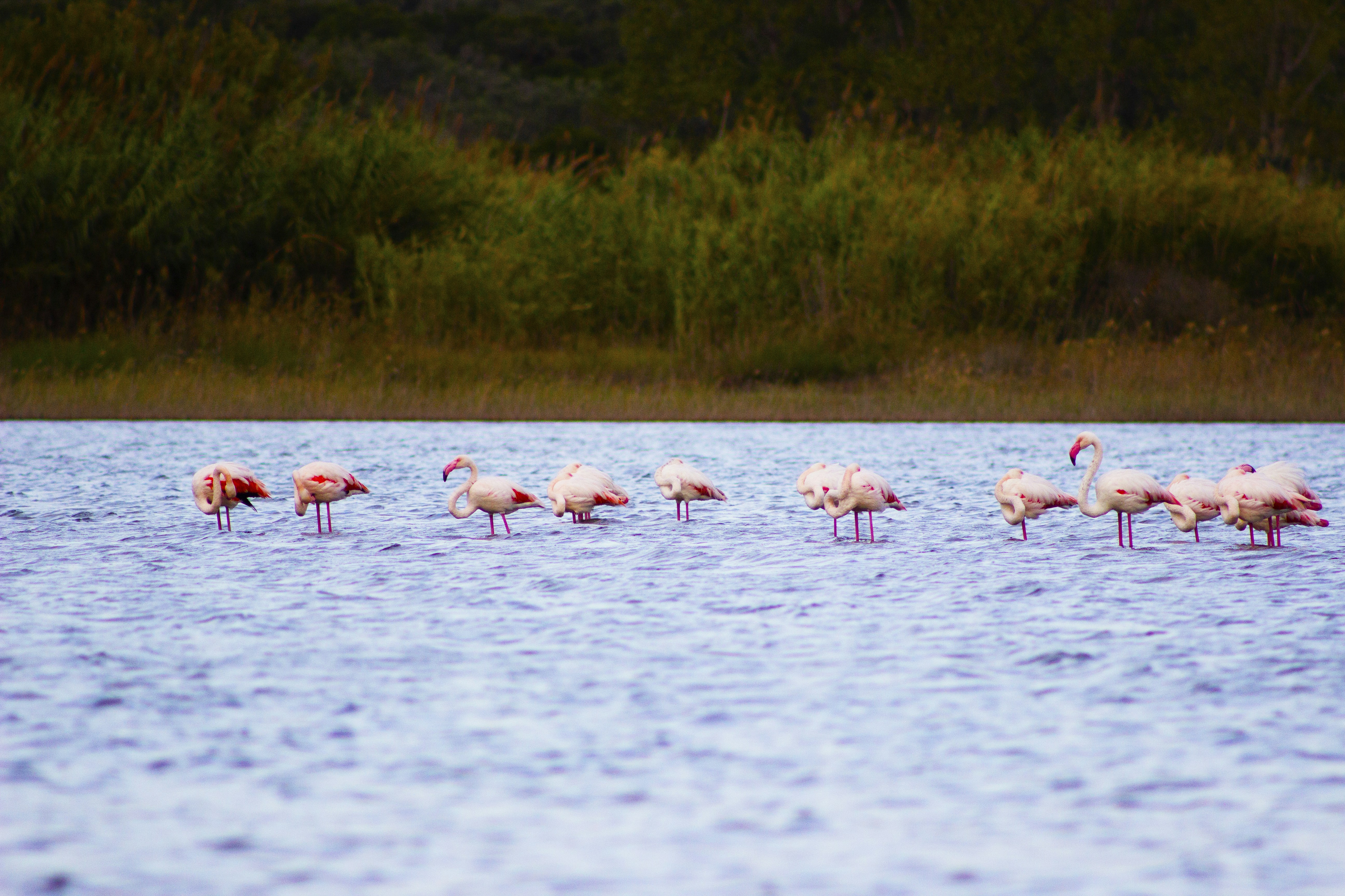 Photo by happy_sad_repeat