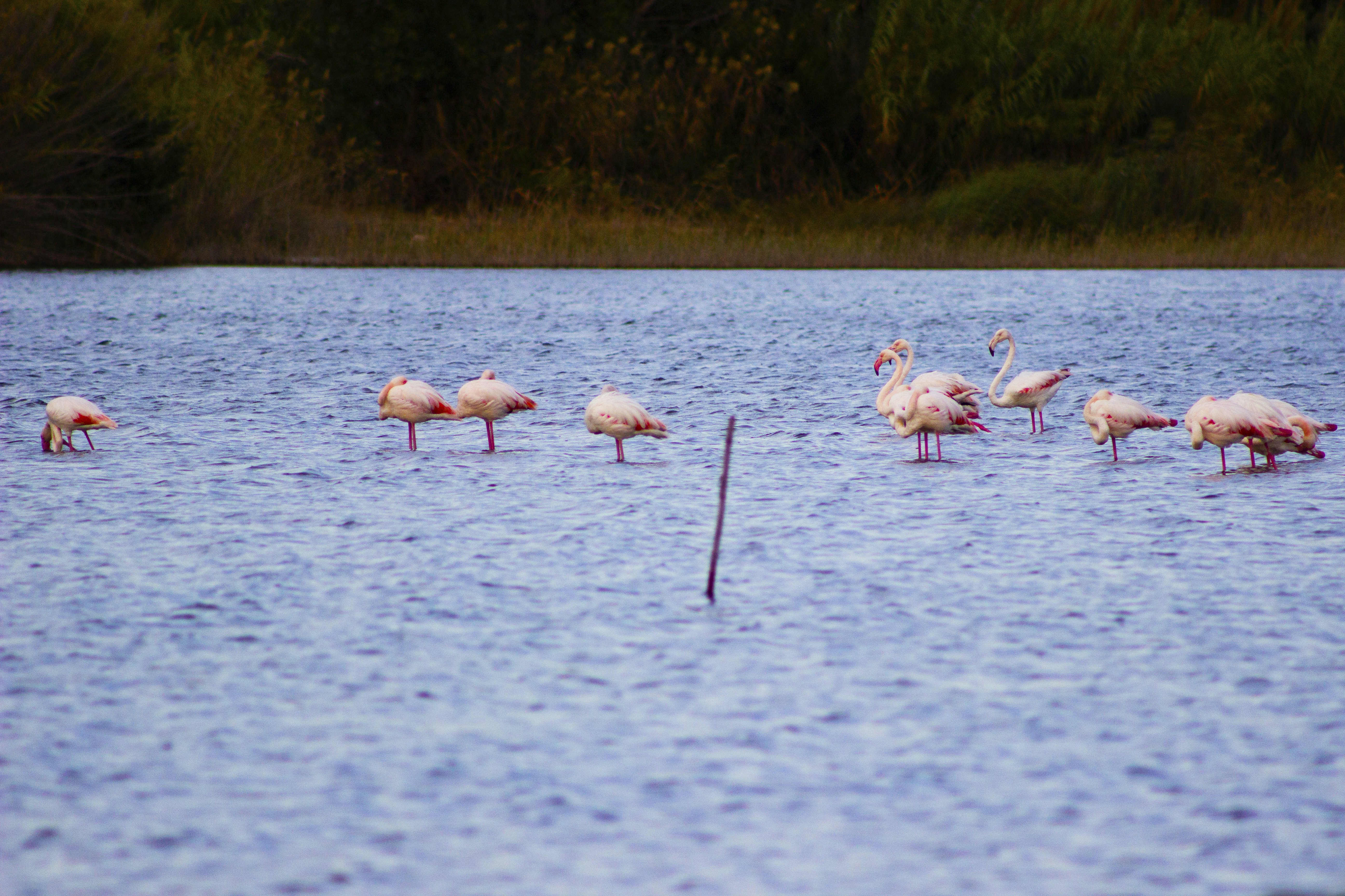 Photo by happy_sad_repeat