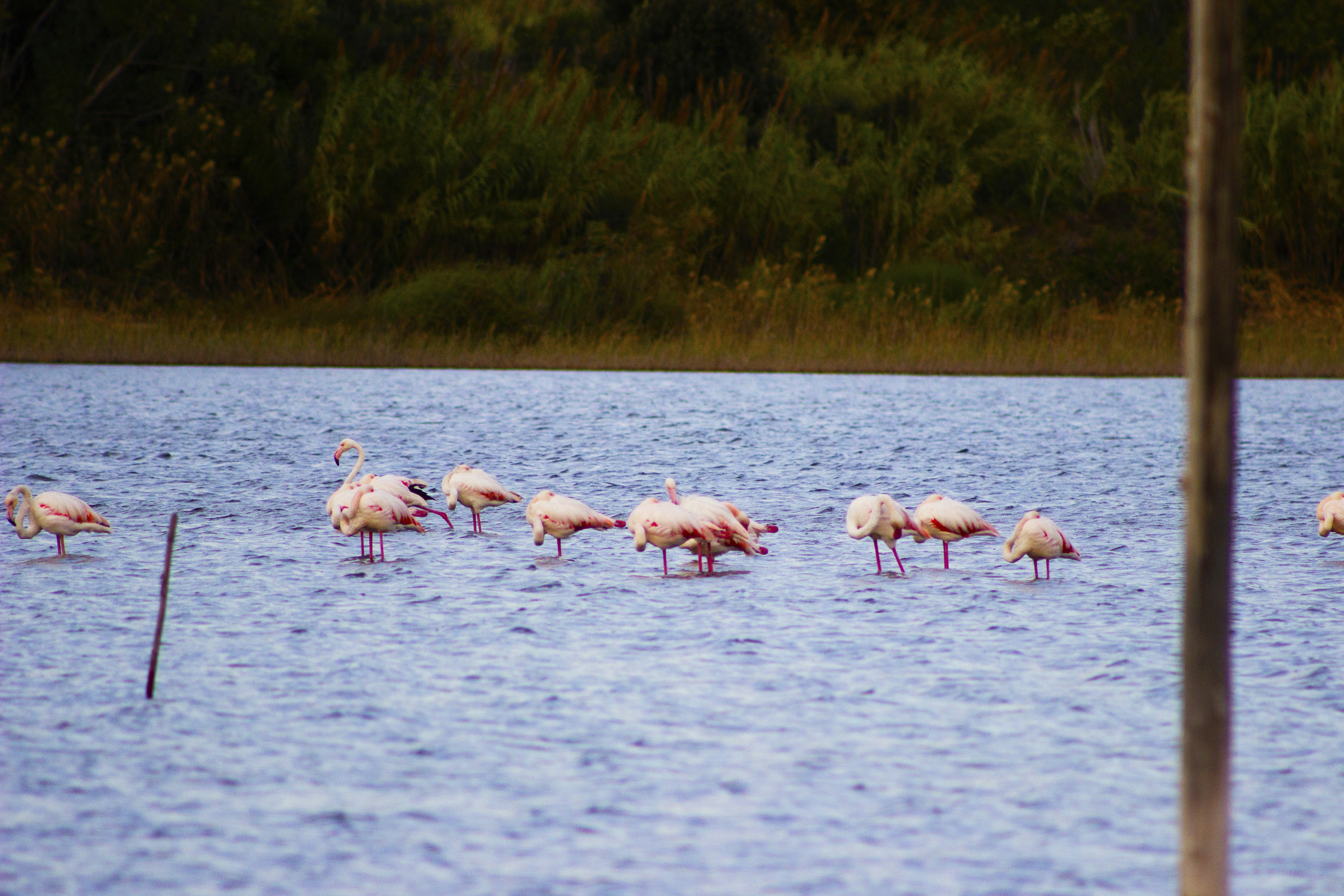 Photo by happy_sad_repeat