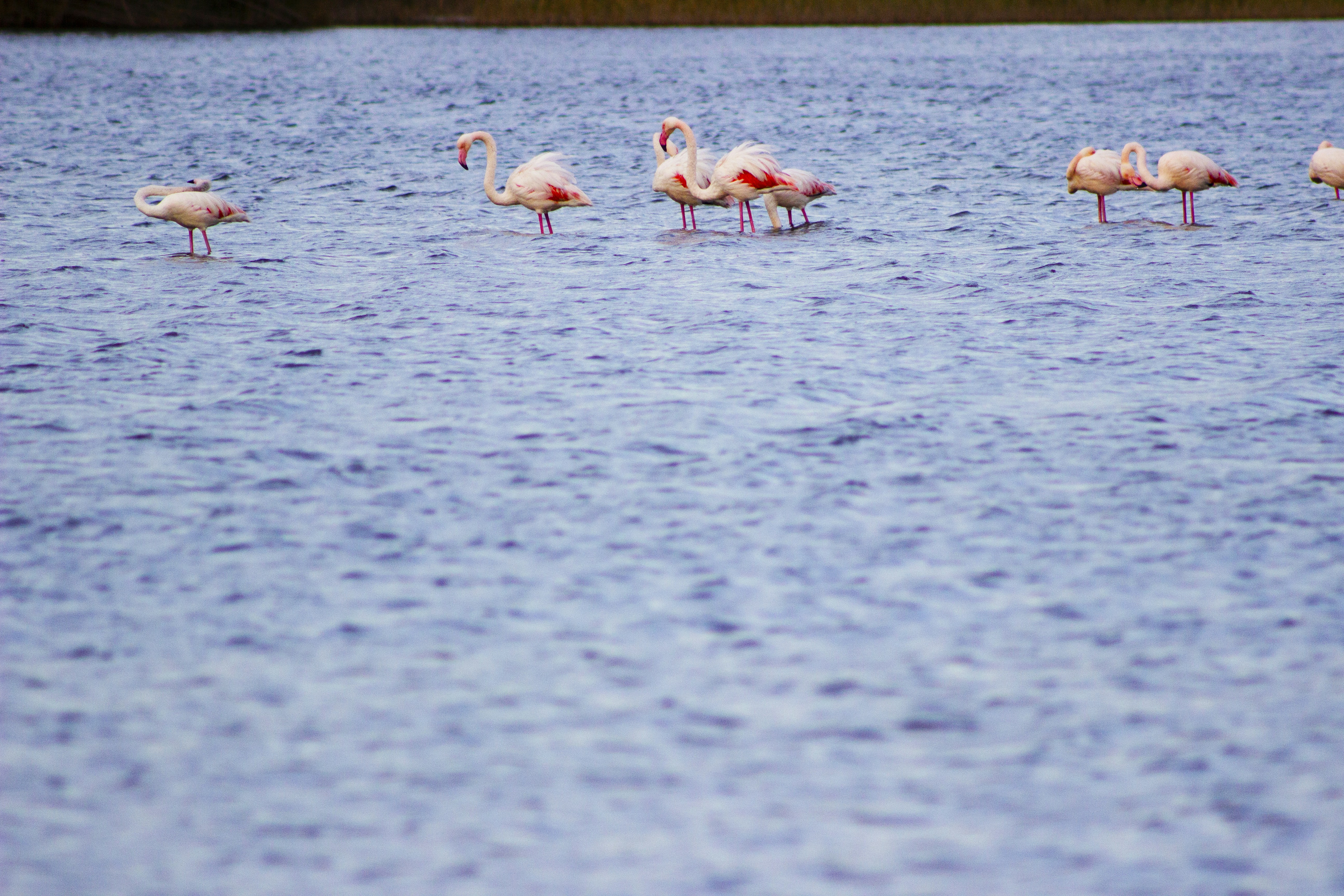 Photo by happy_sad_repeat