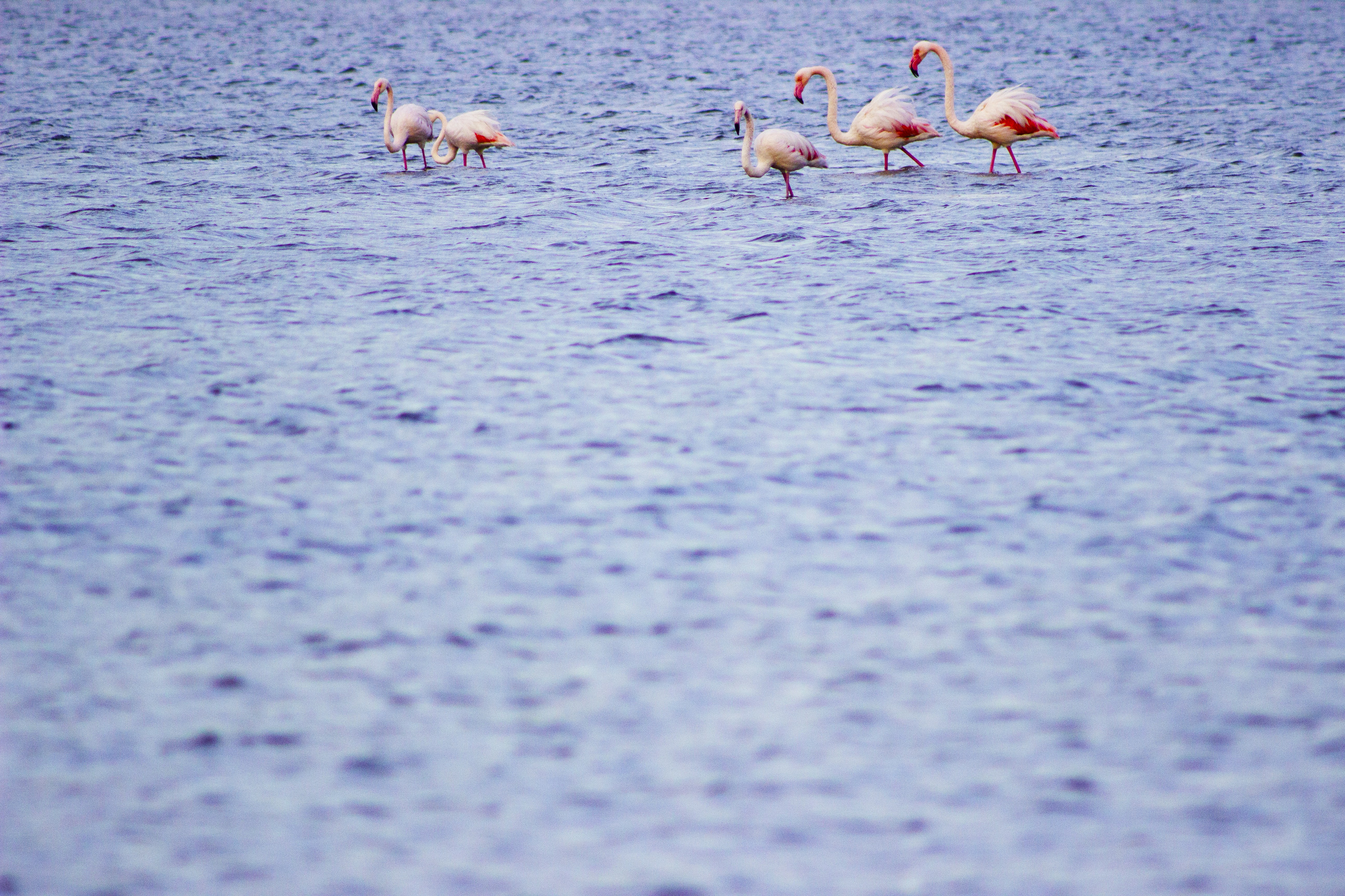 Photo by happy_sad_repeat