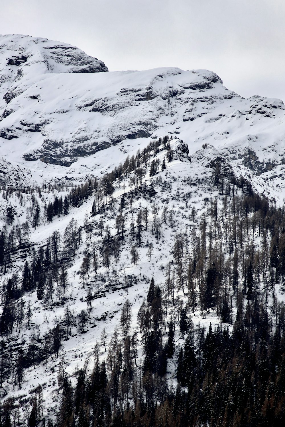 a mountain covered in snow with trees on the side