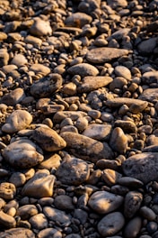Natural landscape with native plants and stones used in jewelry crafting, bathed in warm sunlight.