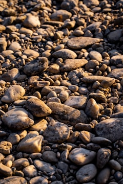 Natural landscape with native plants and stones used in jewelry crafting, bathed in warm sunlight.