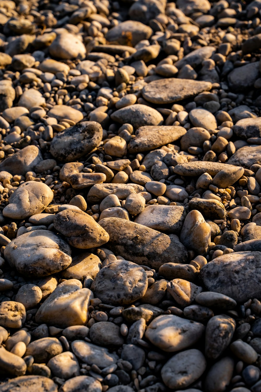 a bunch of rocks that are laying on the ground