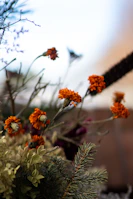 A close-up of vibrant marigold flowers arranged meticulously for a ritual.