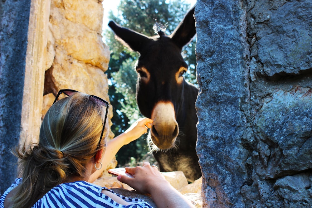 a woman feeding a donkey from her hand