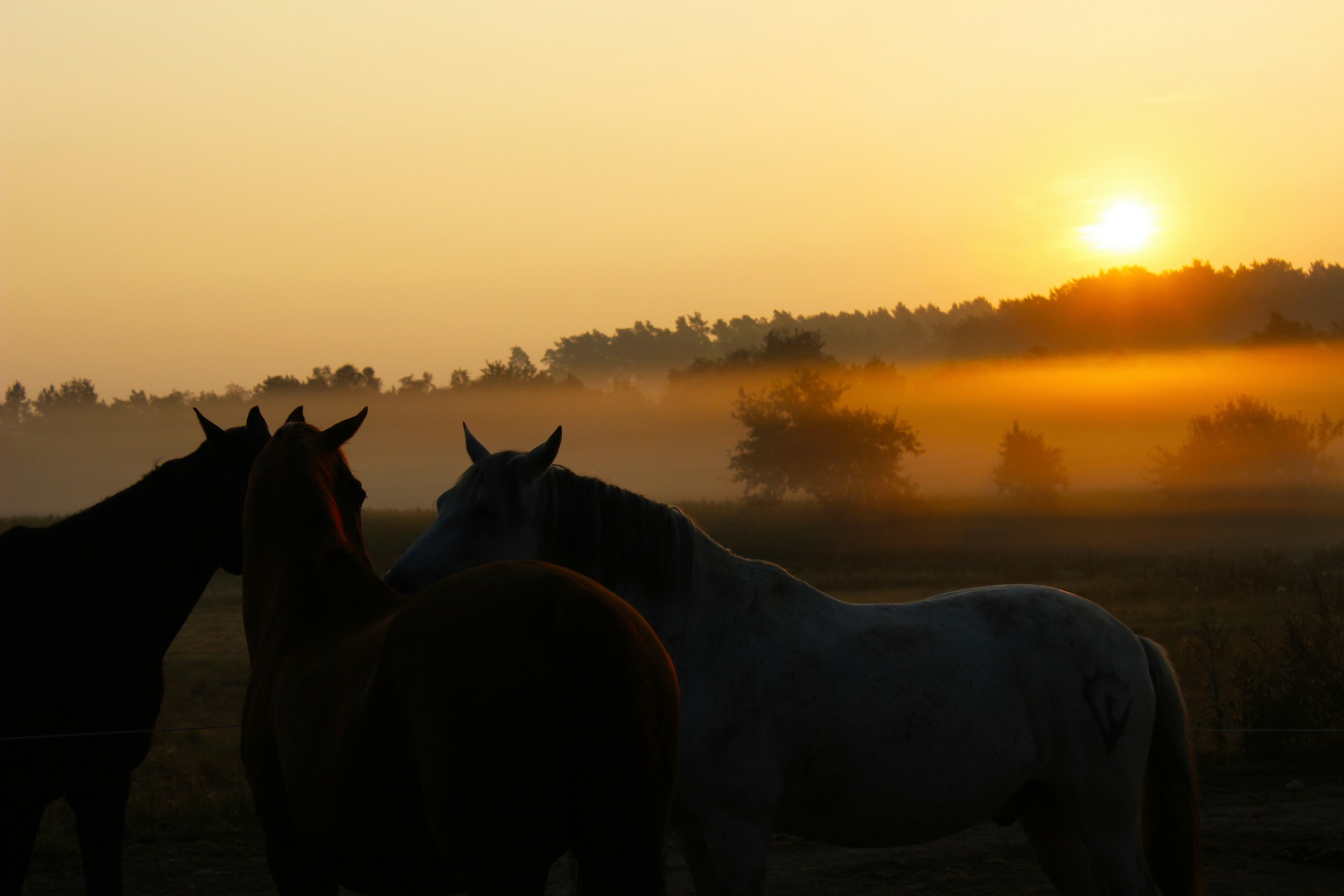 Sunrise over the fairy chimneys of Cappadocia with riders on horseback in the soft morning light