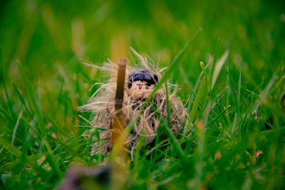 a stuffed animal is sitting in the grass