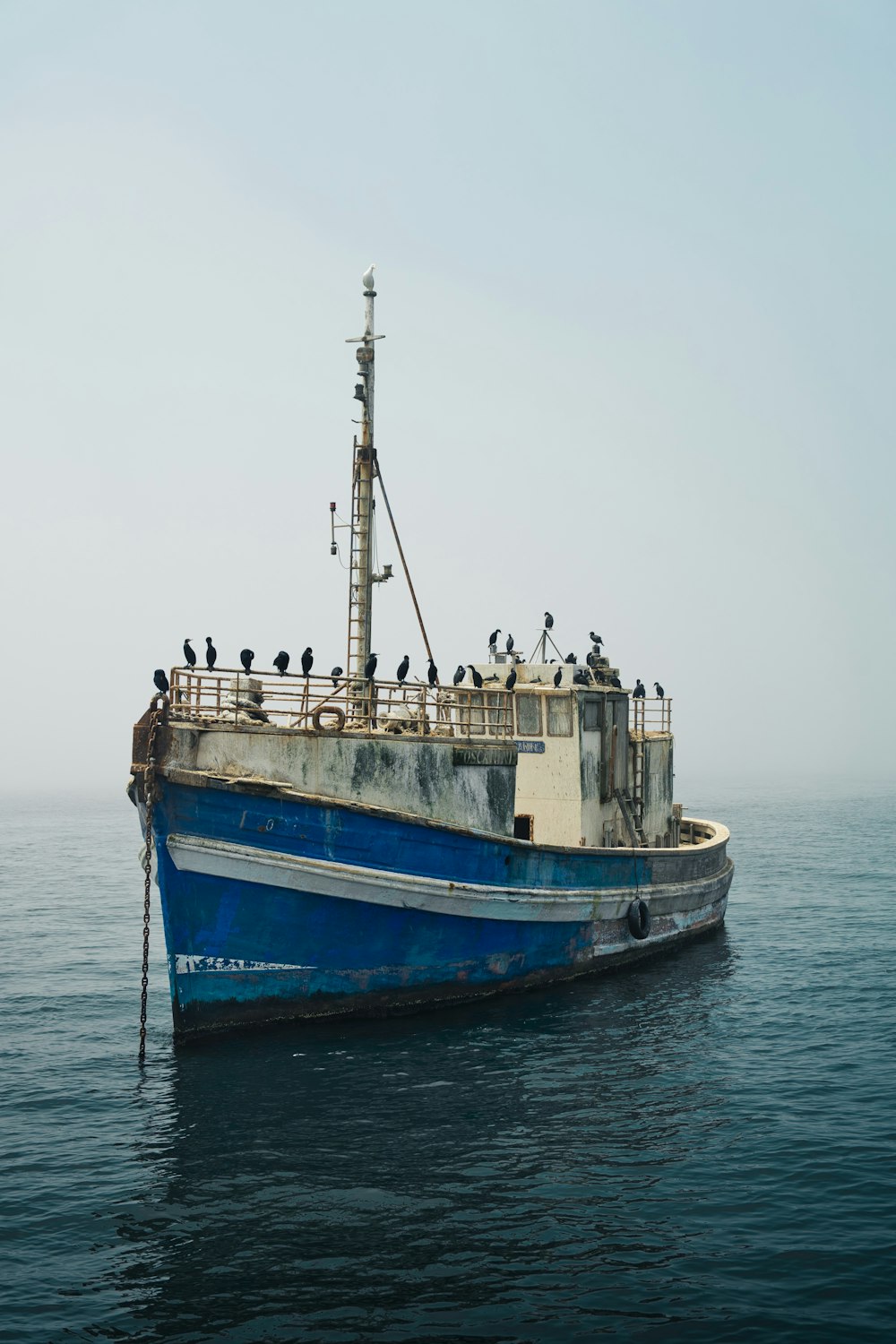 a blue and white boat in the middle of the ocean