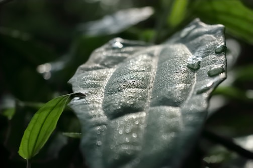 Photo 1702135522613 Cdfdaaed4e61?q=85&w=625&h=335&fit=crop