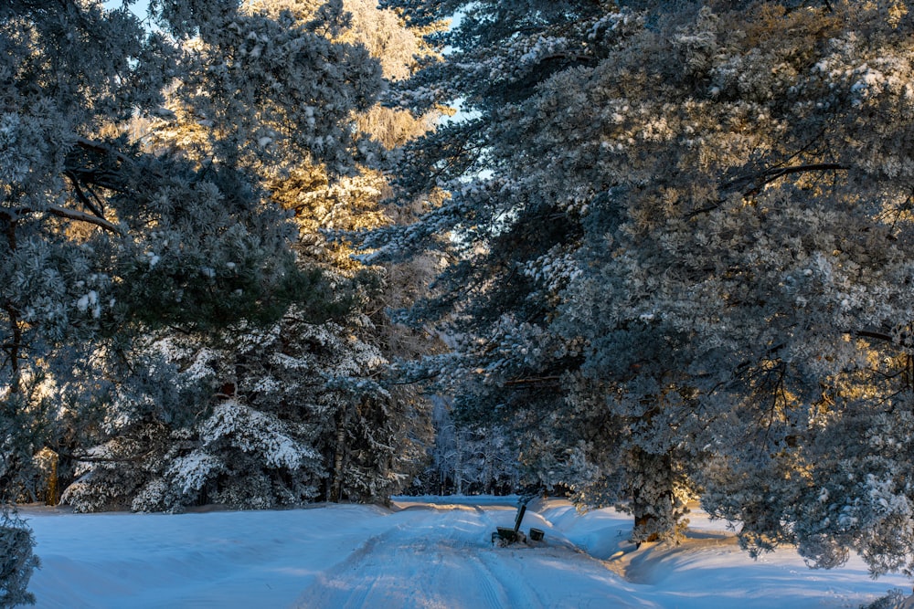 a snow covered road in the middle of a forest