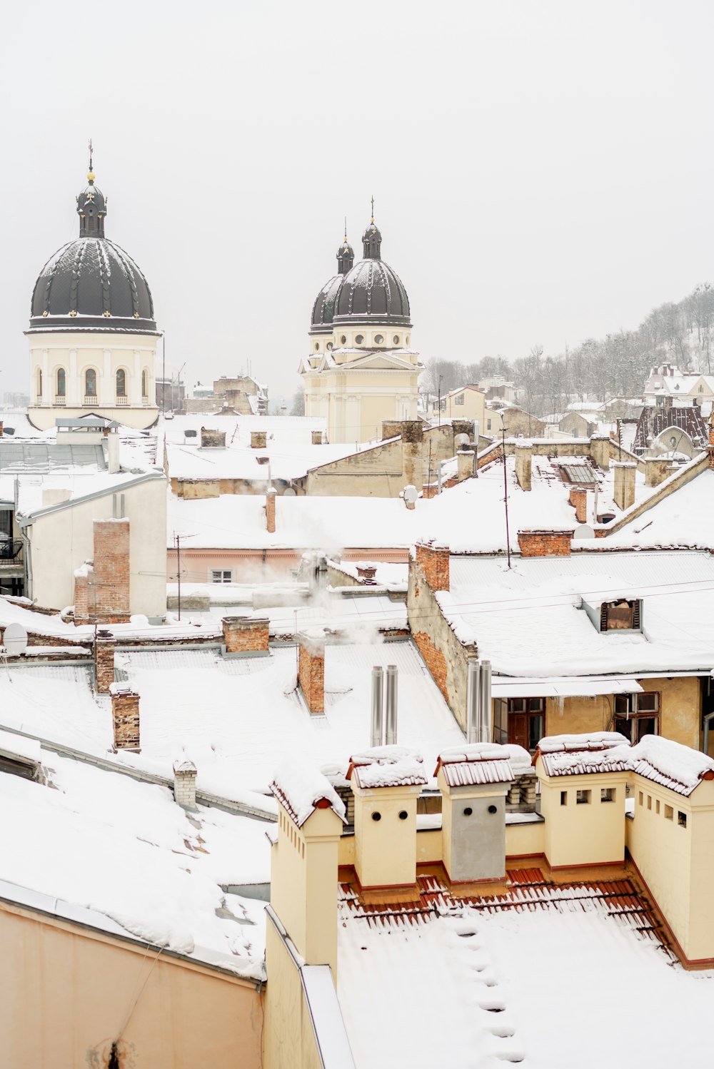 a view of rooftops and buildings covered in snow
