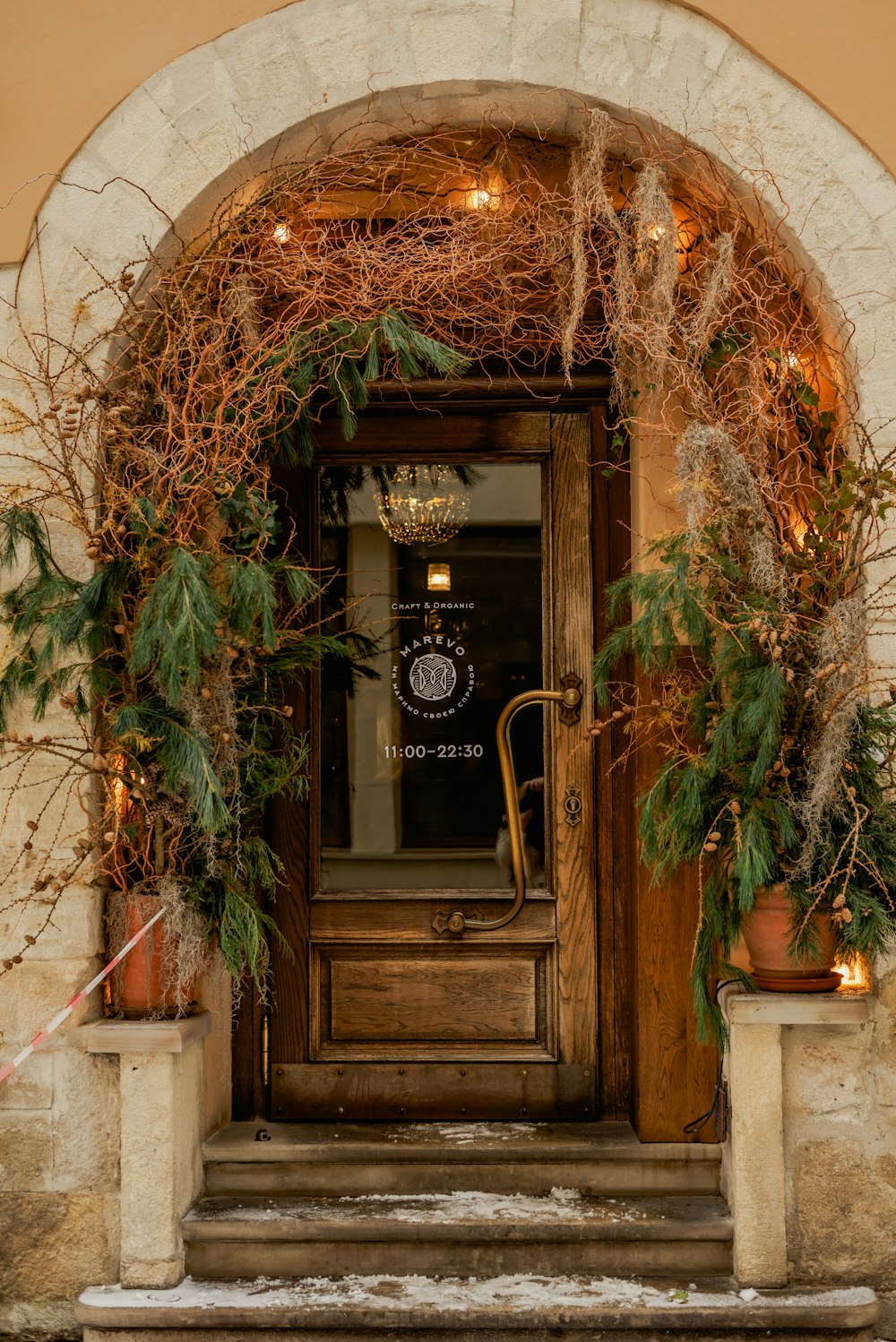 a wooden door with vines and lights on it