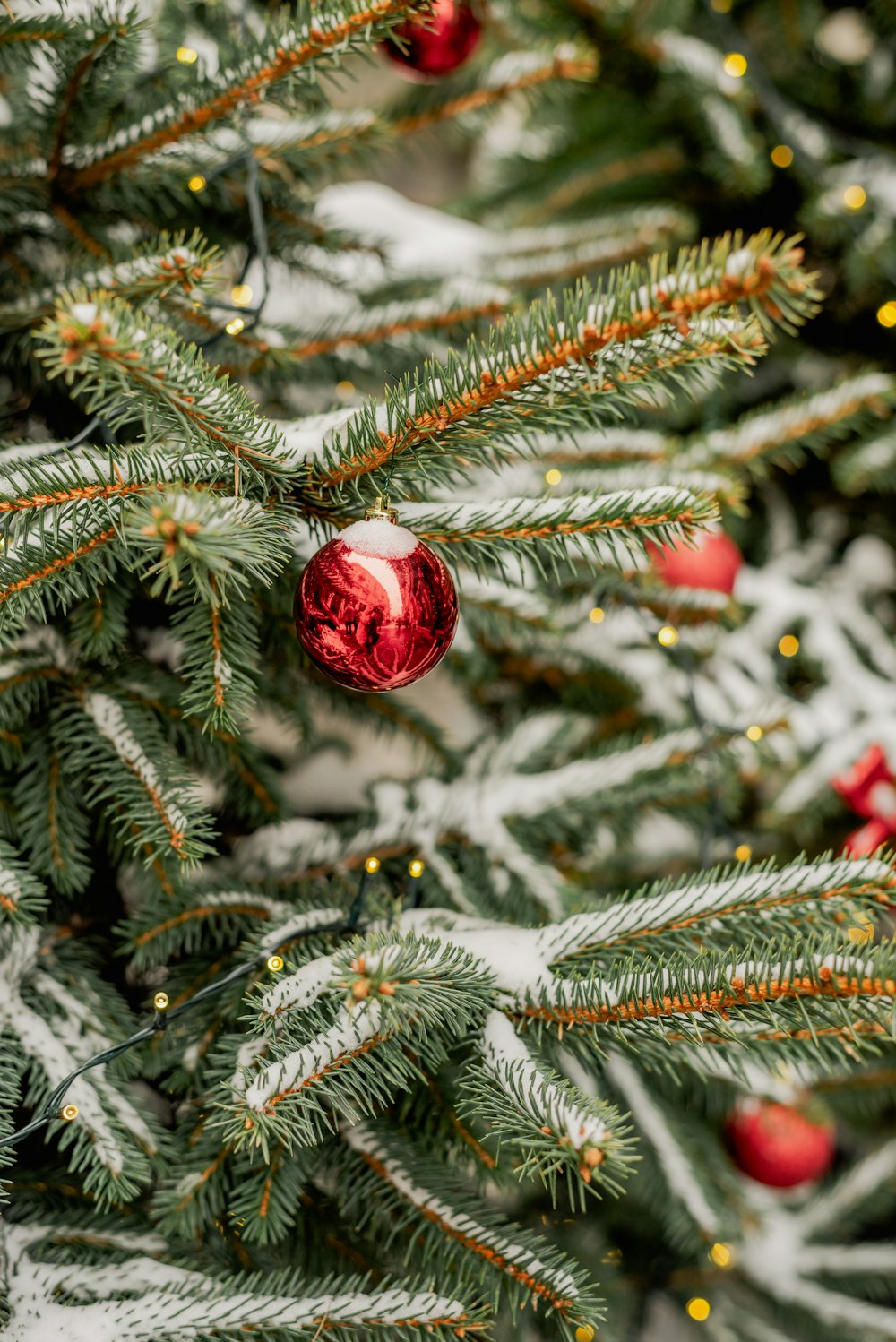 Um close up de uma árvore de Natal com ornamentos vermelhos