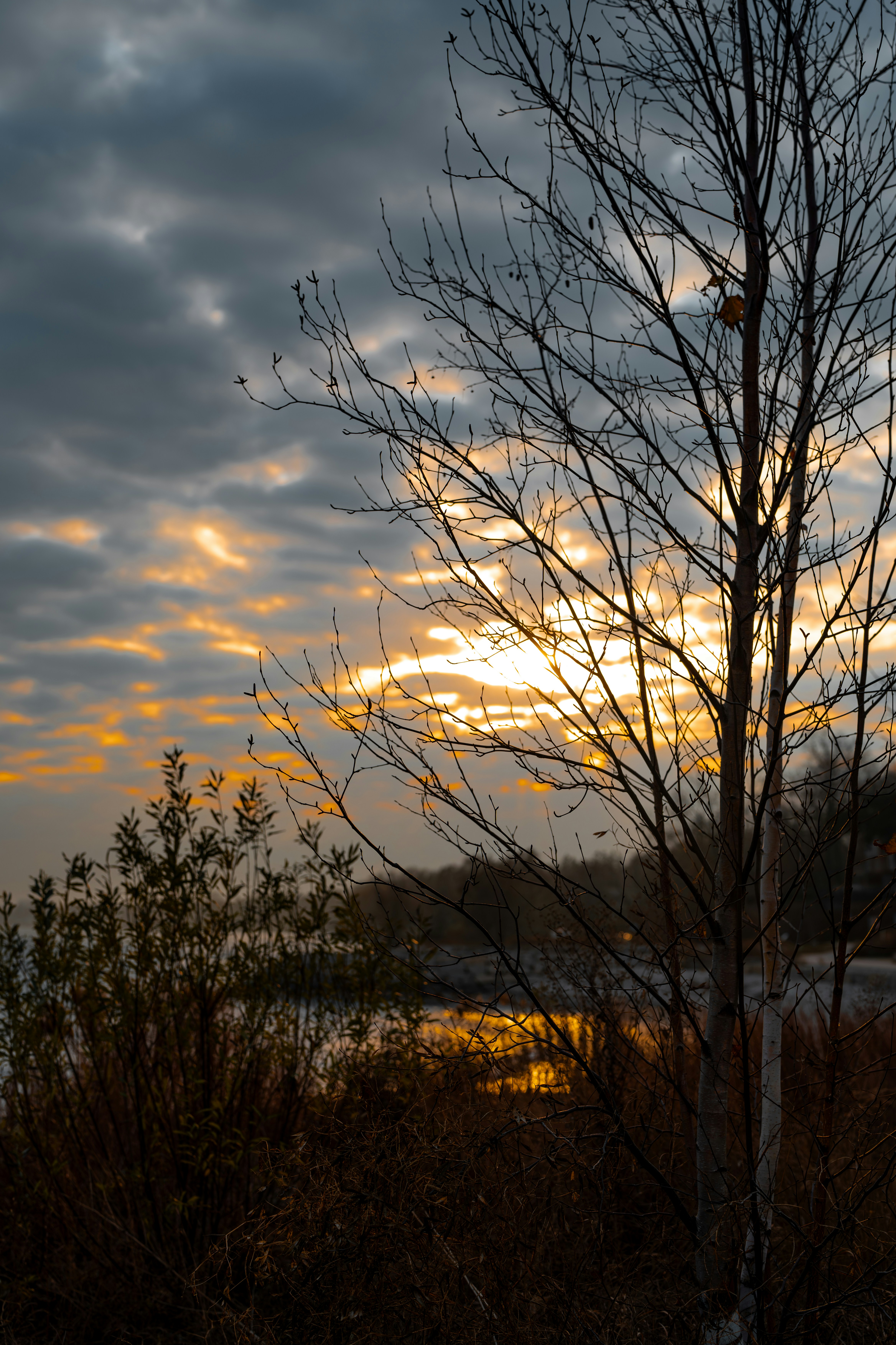 Photo by francotheshooter