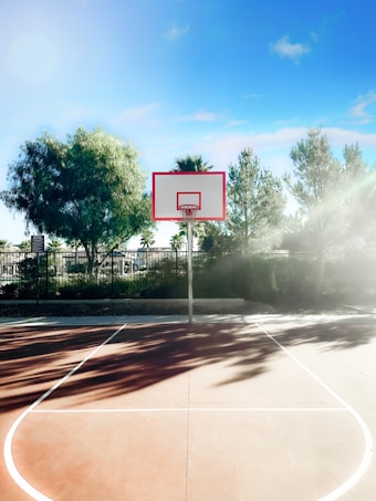 A basketball hoop is centered on an outdoor court with clear blue skies above. Trees and greenery surround the court, casting shadows on the ground. Sunlight filters through the foliage, creating a serene and peaceful atmosphere.