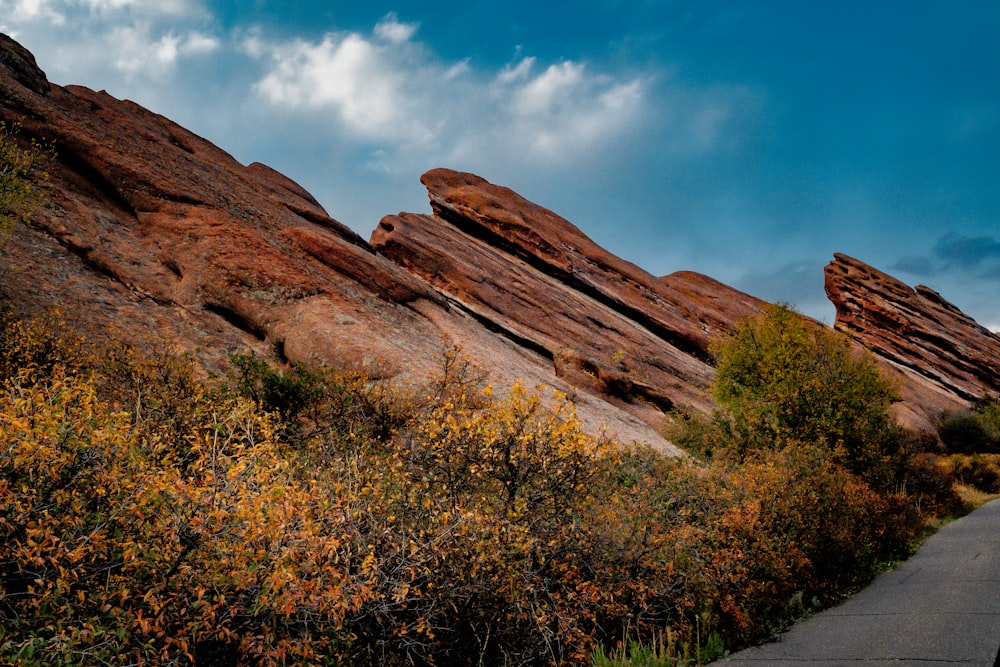 a scenic view of a rocky landscape with trees and bushes