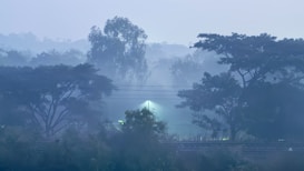 A serene landscape with misty or foggy conditions, featuring large trees silhouetted against the backdrop. The image also includes a dimly lit area with a single bright streetlight in the center that provides a focus point. The scene is calm and quiet, suggesting early morning or late evening.