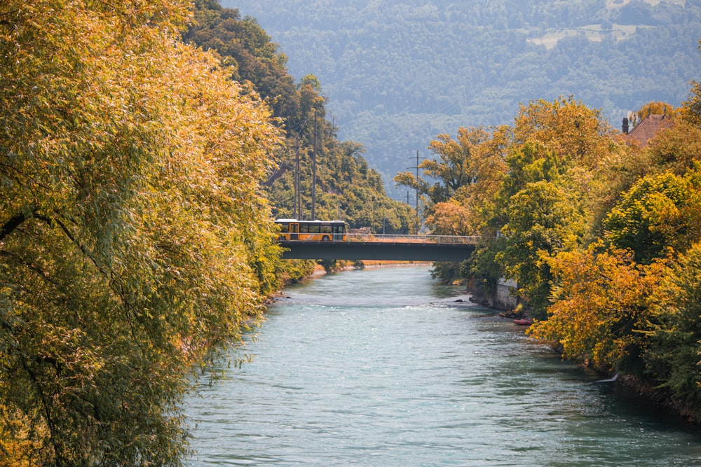 a river running through a lush green forest