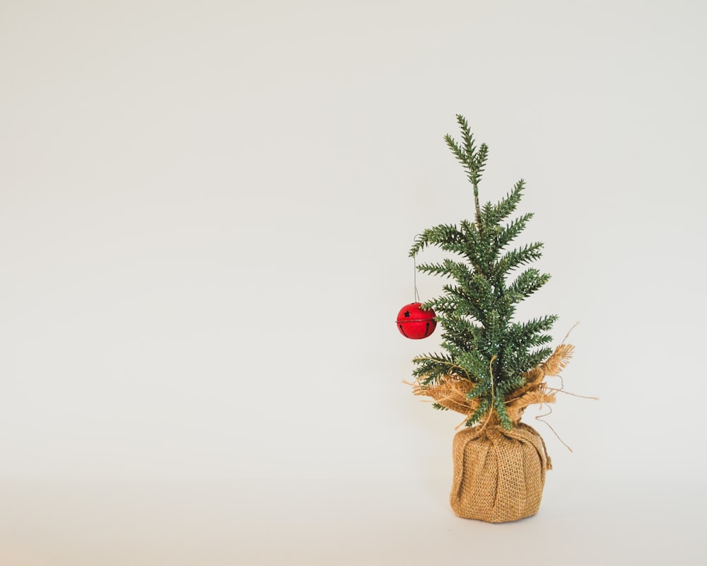 Uma pequena árvore de Natal com um ornamento vermelho em cima dela