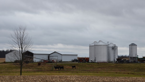 Dark futuristic farm landscape with digital overlays showing livestock data.