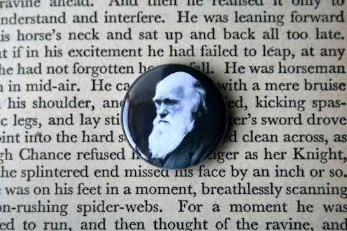 Close-up of a candidate's photo next to a 'historia' button.