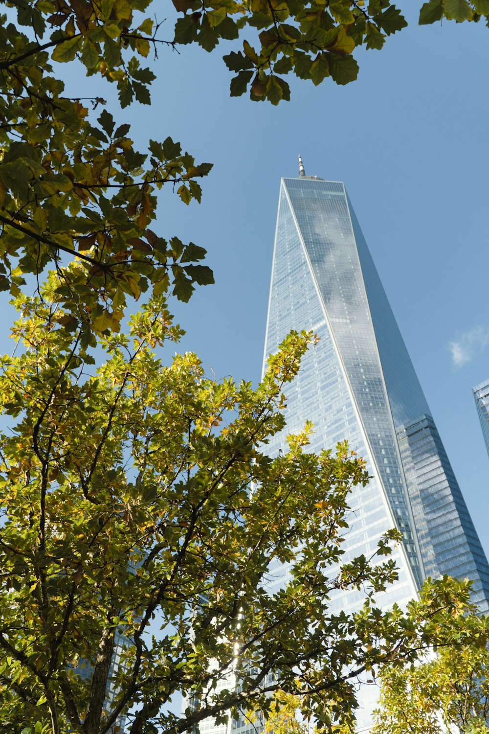 a tall building towering over a forest of trees