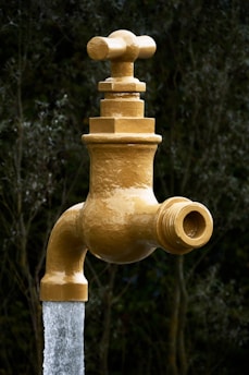 A golden outdoor faucet seemingly suspended in mid-air with a continuous stream of water flowing from it. The background is filled with dark green foliage, giving a natural setting.