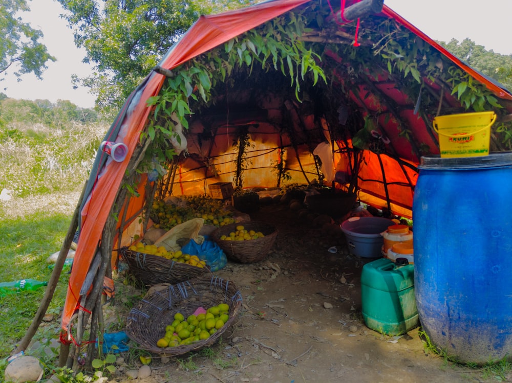 a tent that has a bunch of fruit inside of it